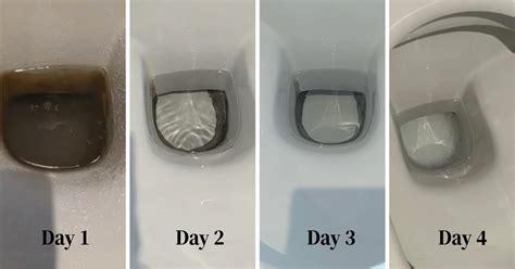 How To Get Rid Of Limescale In A Toilet Cistern