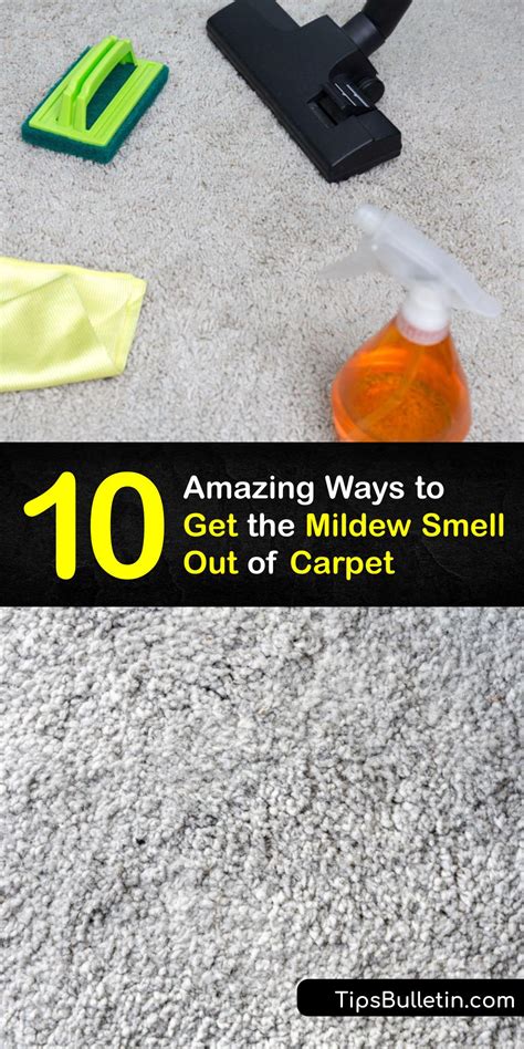 How To Get Rid Of Mildew From Carpet