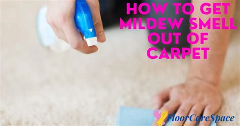 How To Get Rid Of Mildew In A Carpet