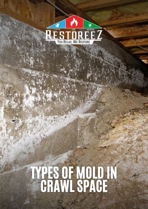 How to Get Rid of Mold in Your Crawl Space