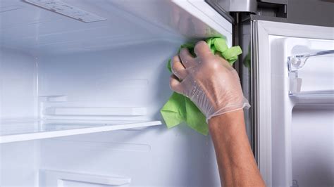 How To Get Rid Of Mold In A Refrigerator