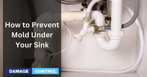 How To Get Rid Of Mold In Sink Overflow