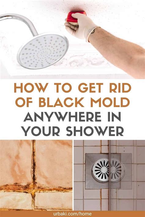 how to get rid of mold on shower door