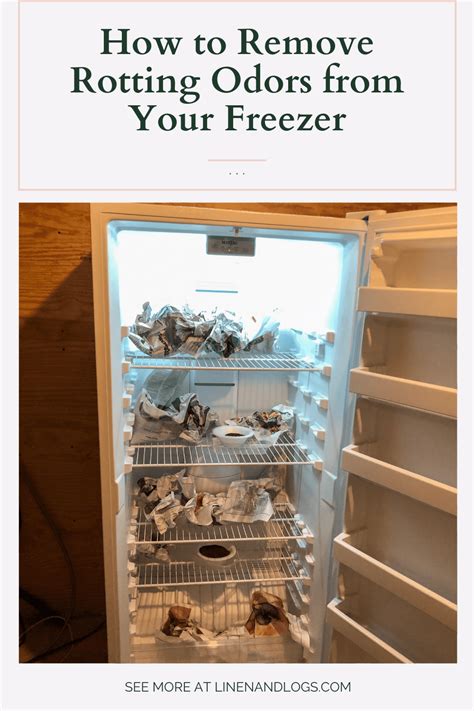 How To Get Rid Of Odor In Freezer
