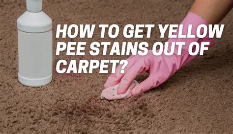 How To Get Rid Of Pee Stains In Carpet