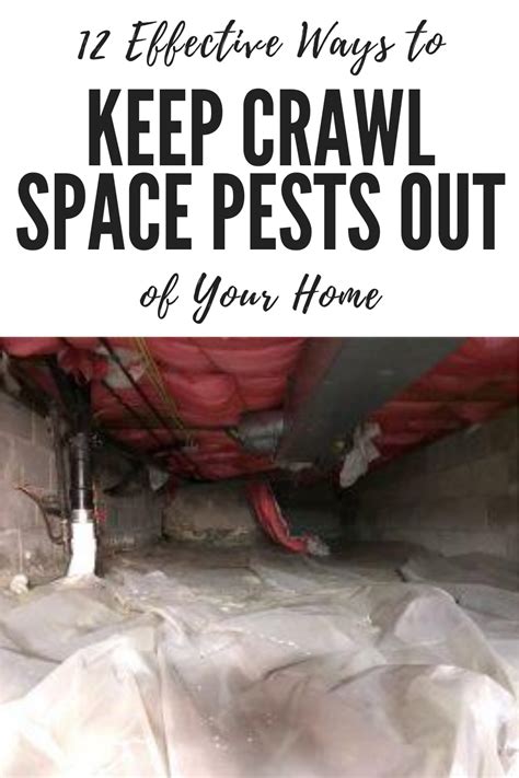 How To Get Rid Of Pests In Crawl Space