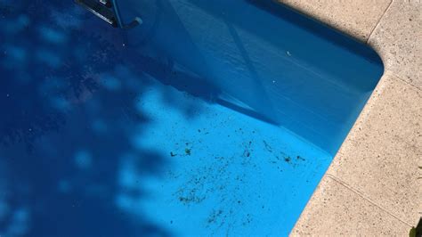 How To Get Rid Of Pollen In A Pool