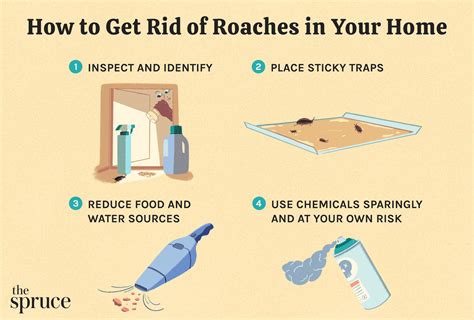 How To Get Rid Of Roaches In Home