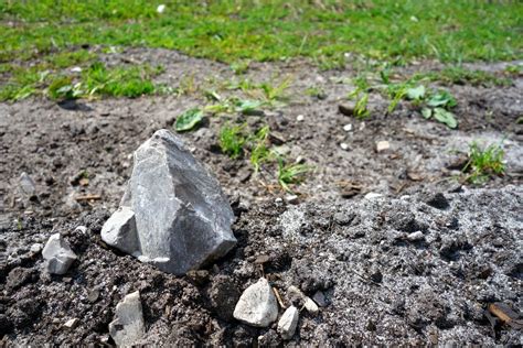 Rocks In The Garden How To Work With Rocky Soil How to get rid, How