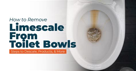 How To Get Rid Of Scale In Toilet Bowl