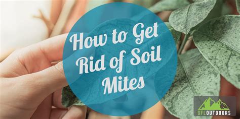 how to get rid of soil from garden