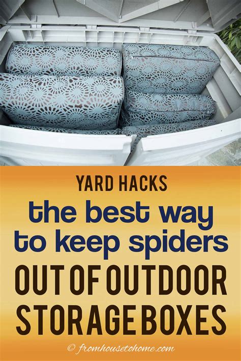How To Get Rid Of Spiders In A Storage Unit