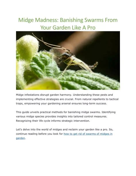 how to get rid of swarms of midges in garden