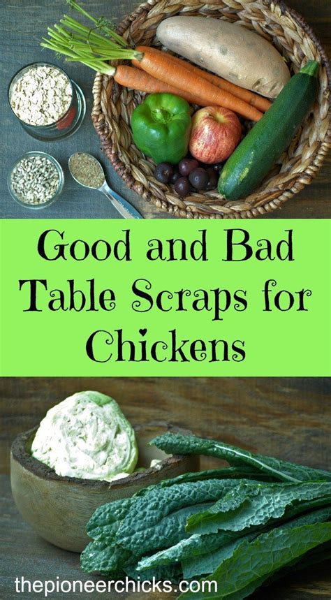 How To Get Rid Of Table Scraps