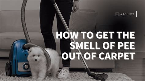 How To Get Rid Of The Pee Smell In Carpet