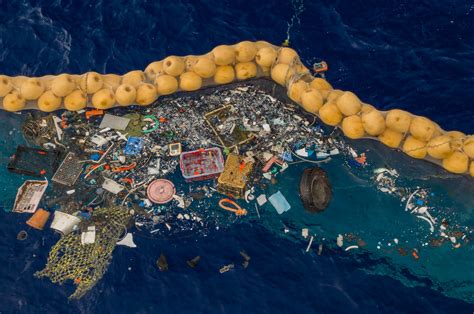 How To Get Rid Of Trash In The Ocean
