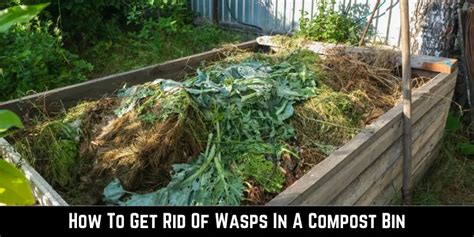 How To Get Rid Of Wasps In Compost Bin
