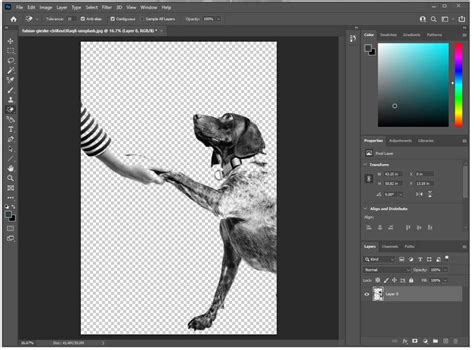How To Get Rid Of White Background On Image In Silhouette