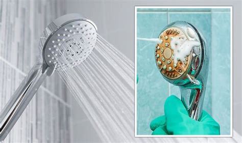 How To Get Rust Of Shower Head