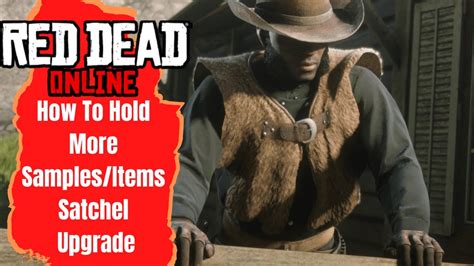 How To Get Sample Kit Rdr2