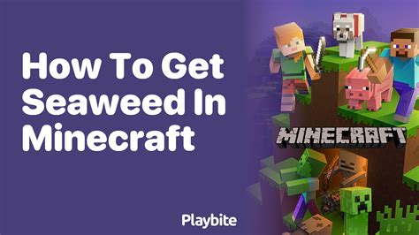 Minecraft V1.6 Update I Seaweed or Shrubs YouTube