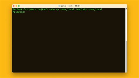how to get sudo on terminal