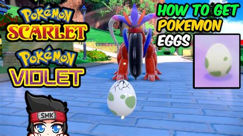 How To Get The Eggs In Violet City