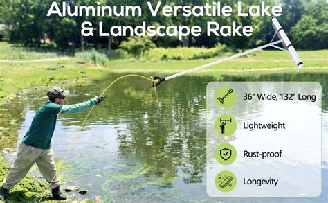 How To Get The Rake In The Lake