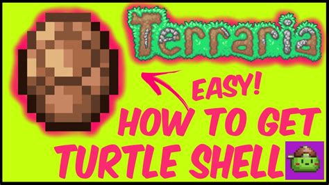 How To Get The Shell In Terraria