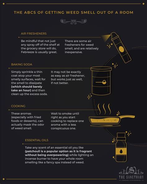 How to Get Weed Smell Out of Your Car 9 Odor Eliminators