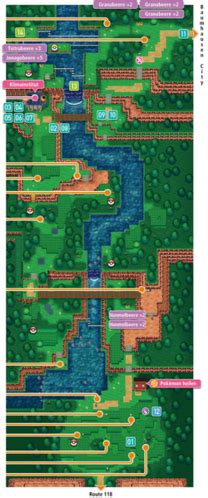 how to get to route 119 omega ruby