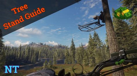 How To Get Tree Stands In The Hunter Call Of The Wild