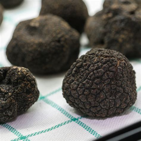 How To Get Truffles In The Us