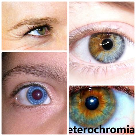 how to get two different colored eyes