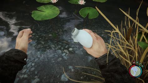 How To Get Water In A Forest