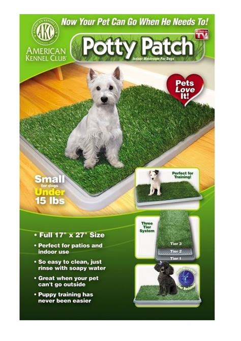 How To Get Your Dog To Use A Potty Patch