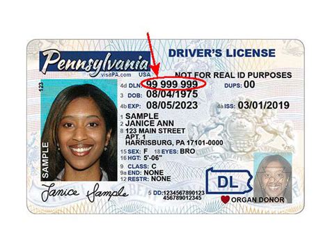 how to get your driver's license number