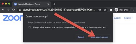 How To Get Zoom Url