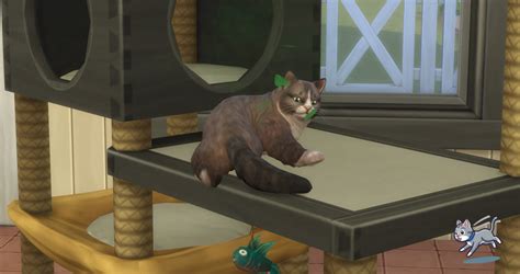 how to give cat catnip sims 4