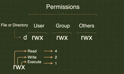 how to give directory permissions in linux