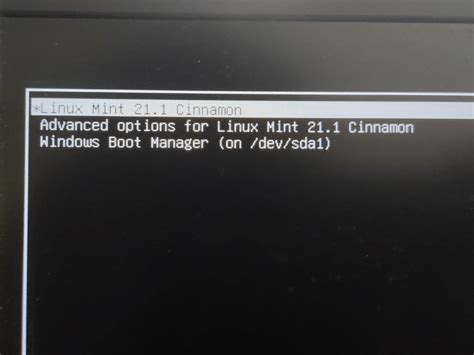 how to go to dual boot menu
