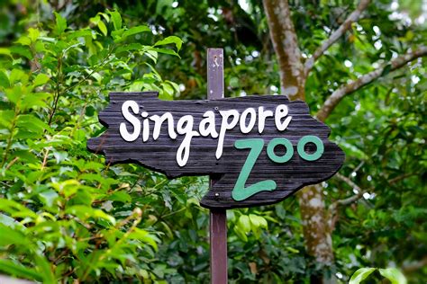 how to go to singapore zoo