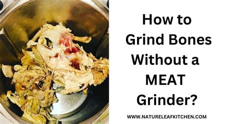 How To Grind Bones Without A Grinder