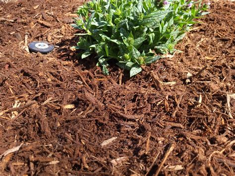 How To Grind Mulch