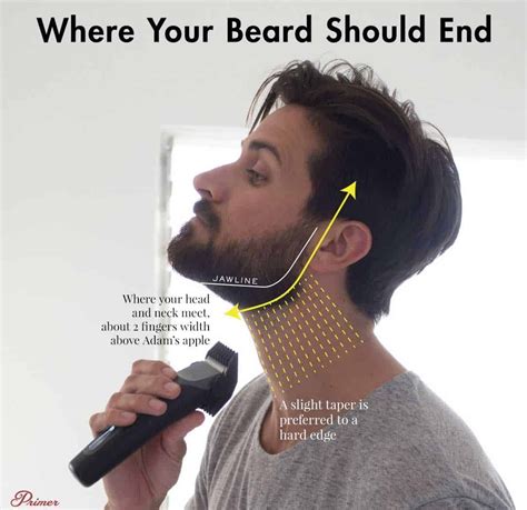 how to groom a stubble beard