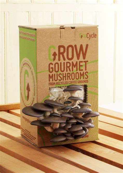 how to grow gourmet mushrooms