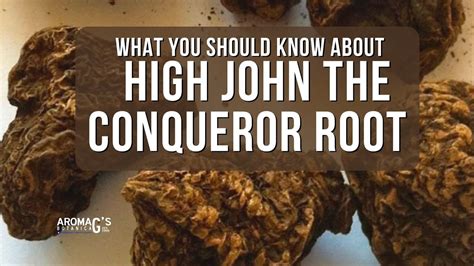 how to grow high john root