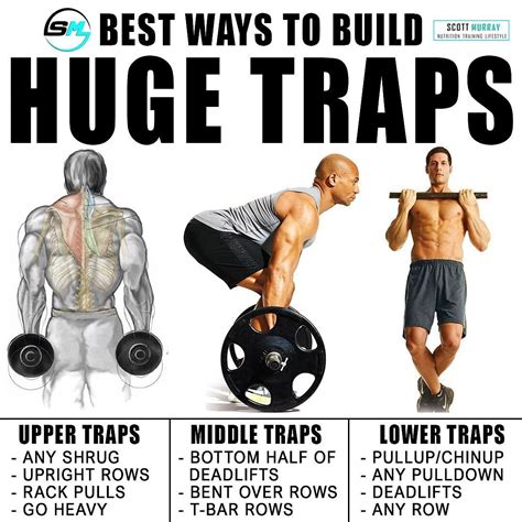 how to grow upper traps