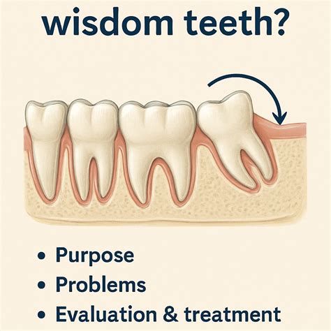 how to grow wisdom teeth