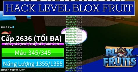 how to hack blox fruits roblox 2024 pc